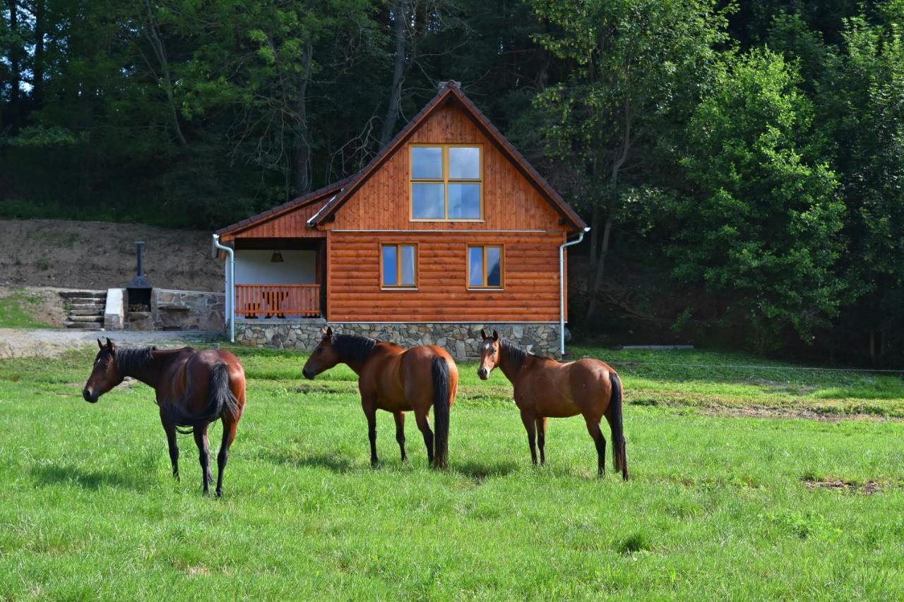 Ubytování Ranč Malenice Malenitz Exterior foto